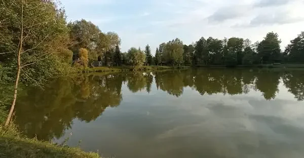 Nocne Zawody Wędkarskie o Puchar Prezesa na Zalewie w Jedliczach