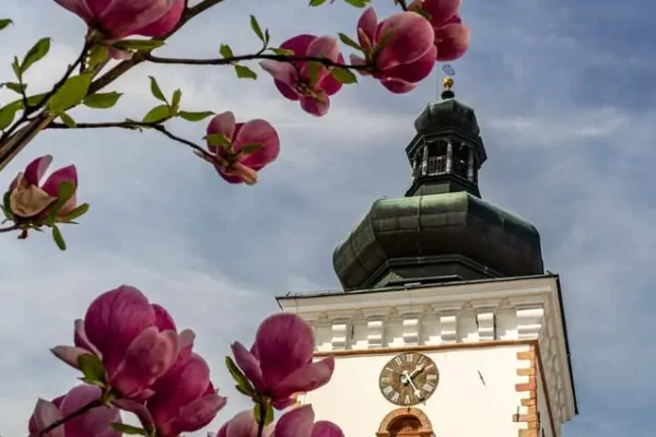 Krosno: wieczorny lot balonów i otwarcie mistrzostw świata