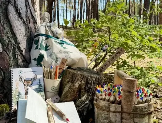 Leśne przybory szkolne – jak drewno towarzyszy uczniom w codziennej nauce