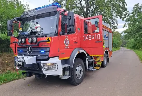 Dwa wyjazdy strażaków z Dukli – usuwanie drzewa i pożar traw