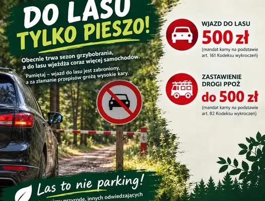 Sezon grzybobrania w pełni – Nadleśnictwo Krosno przypomina: las to nie parking!