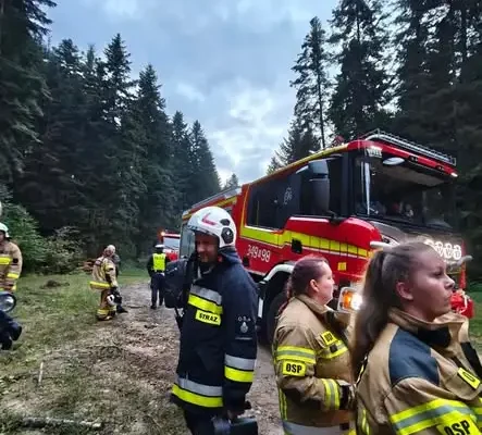 Manewry ratownicze w Odrzykoniu: ćwiczenia służb na terenie Zamku Kamieniec