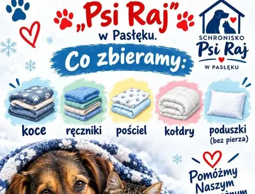 Zbiórka rzeczy dla schroniska „Psi Raj” w Pasłęku – Środowiskowy Dom Samopomocy w Rzecznej włącza się do akcji
