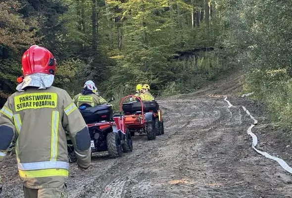 Pożar maszyny leśnej w Krasnej. Strażacy walczyli z ogniem w trudnym terenie