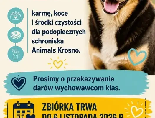 Szkoła Podstawowa nr 7 w Krośnie organizuje zbiórkę dla schroniska Animals Krosno