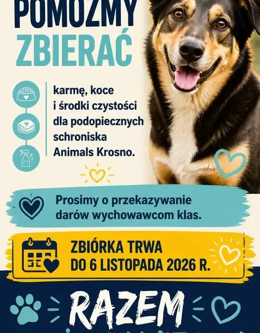 Szkoła Podstawowa nr 7 w Krośnie organizuje zbiórkę dla schroniska Animals Krosno