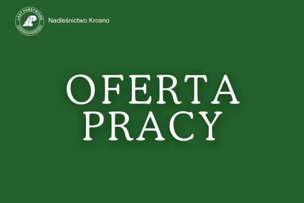 Nadleśnictwo Krosno szuka podleśniczego – praca w terenie dla miłośników lasu