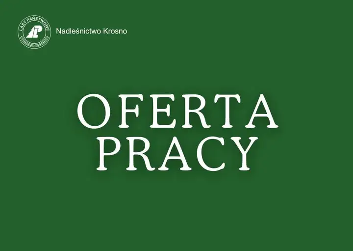 Nadleśnictwo Krosno szuka podleśniczego – praca w terenie dla miłośników lasu