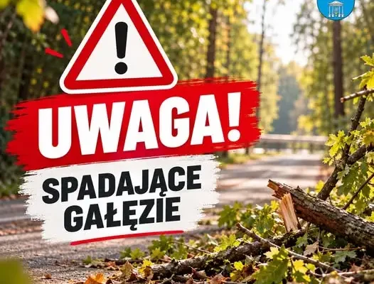 Ostrzeżenie w Iwoniczu-Zdroju: niebezpieczne drzewa przy źródle Bełkotka i ul. Naftowej