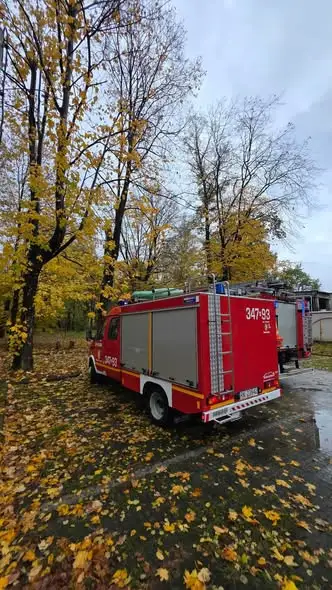 Trzy interwencje strażackie w Krośnie: kolizja i usuwanie zagrożeń