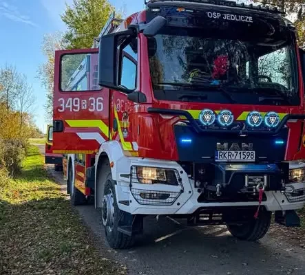 Powalone drzewo na ul. Wierzbowej w Jedliczach – interwencja strażaków