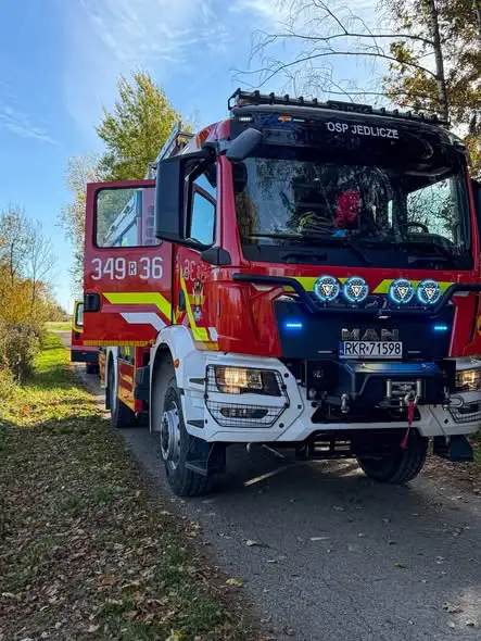Powalone drzewo na ul. Wierzbowej w Jedliczach – interwencja strażaków